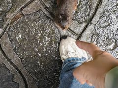 -张家界天门山国家森林公园