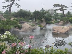 -罗红摄影艺术馆