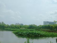 -金银湖国家城市湿地公园