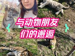 -横道河子东北虎林园