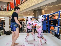 -花环泰拳·勒德斯拉泰拳馆(静安店)