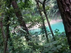 -广州市流溪河国家森林公园