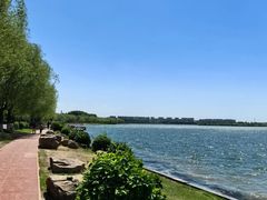 -丁香湖公园