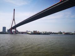 -摆渡站(董家渡站)