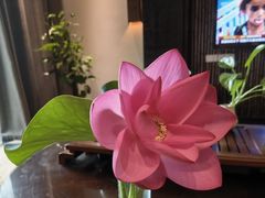 -苏州环秀晓筑养生度假村