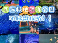 -海合安武汉极地海洋公园