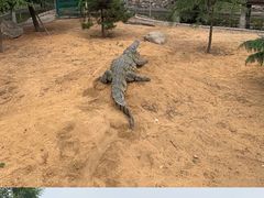 -石家庄市动物园