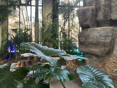 -东方华地城湿地温泉度假区