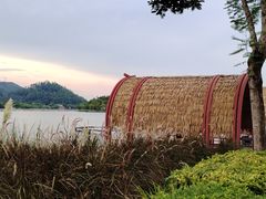 -顺峰山公园
