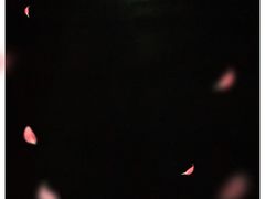 -CoCo都可(世纪广场店)