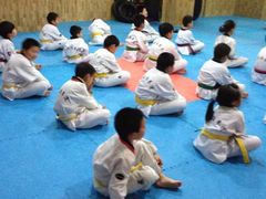 -金翼跆拳道巴西柔术拳击格斗学院