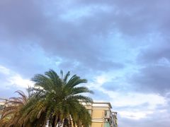 -沈坚强游泳俱乐部(长征分部)