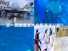 -芜湖新华联大白鲸海洋公园