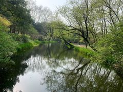 -上海共青森林公园