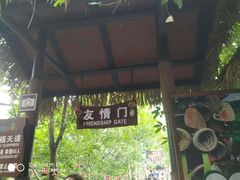 -呀诺达热带雨林