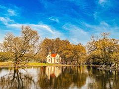 -上海共青森林公园