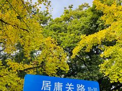 -八大关景区