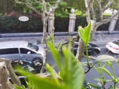 -Ginger(兴国路店)