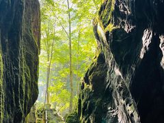 -牛背梁国家森林公园