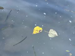 -贵阳市花溪国家城市湿地公园