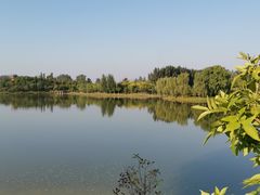 -东郊湿地公园