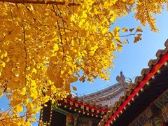 -承恩寺