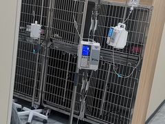 -德元·美联众合24小时动物医院(总院)