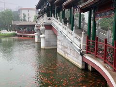-西海子公园