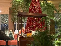 -北京望京凯悦酒店The Lounge大堂酒廊