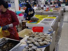 -板桥海鲜广场(文明东店)