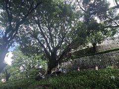 -大炮台