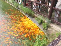 -武汉紫薇都市田园