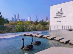 -行者书屋大堂吧 ·下午茶(南京圣和府邸酒店)