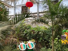 -南宫五洲植物乐园