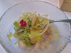 -蝶舍·MAISON PAPILLON