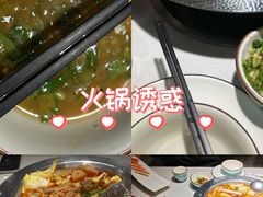 -古乐牛香·鲜牛肉牛杂火锅(千灯店)