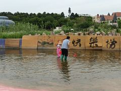 -大塘金香草谷