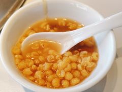 -遇东北林区铁锅炖(南开店)