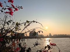 -光明港公园