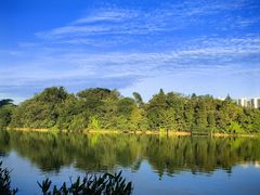 -飞来湖湿地公园