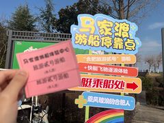 -合肥滨湖国家森林公园