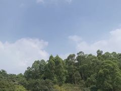 -南国桃园旅游度假区