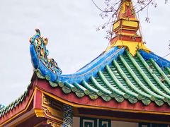 -中山公园