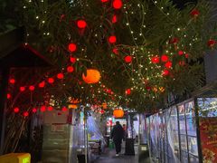 -福苗小骆驼烧烤(莲湖路店)