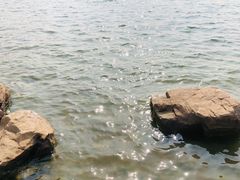 -丁香湖公园
