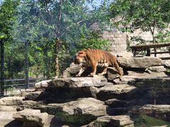 -北京野生动物园