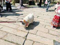 -茅山东方盐湖城景区