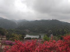 -广州市石门国家森林公园