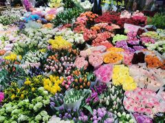 -双季花艺园艺市场(浦东店)