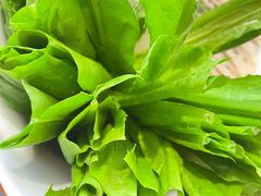 油麦菜-惠友大虾(太原北街店)